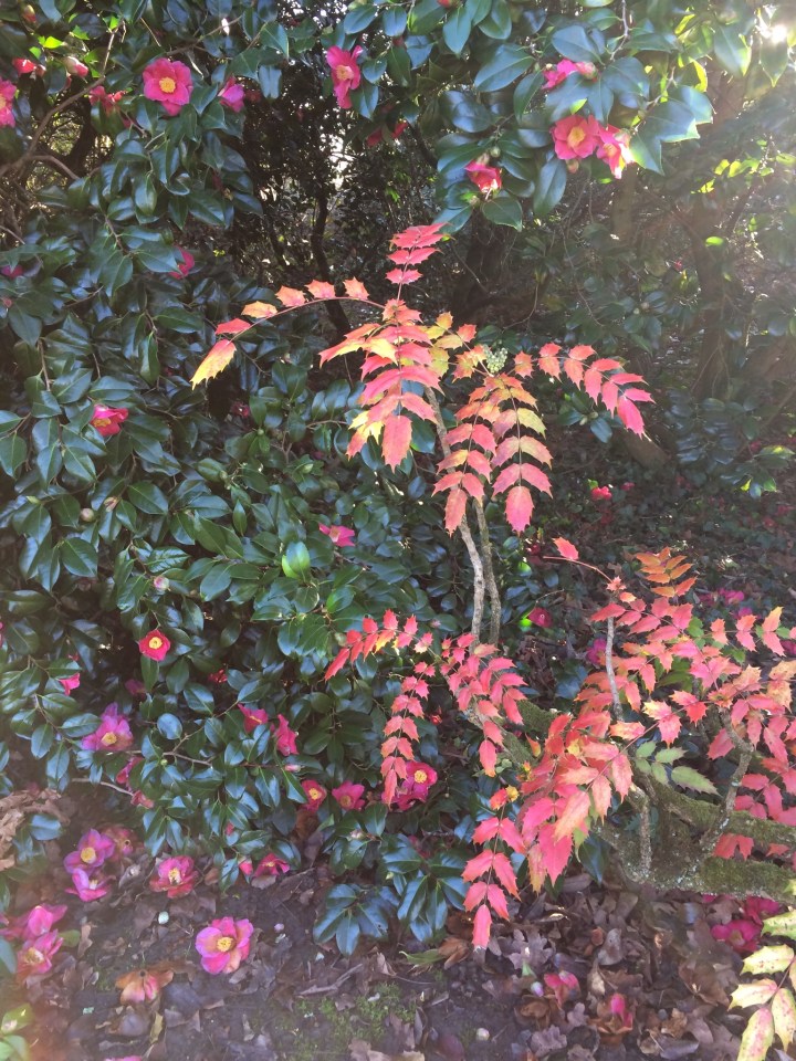 7B826CEF-12B2-440F-9BDD-E7A91734DEB3