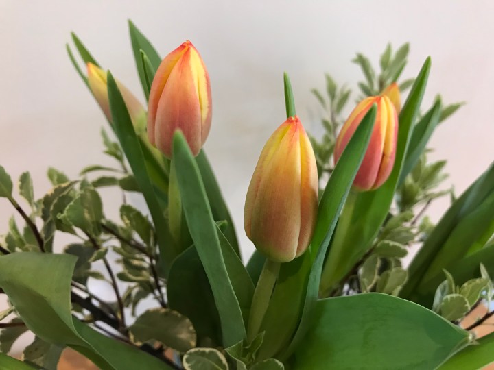 C7263A3D-D84B-4F2E-B4DC-A2897CE5C4FC