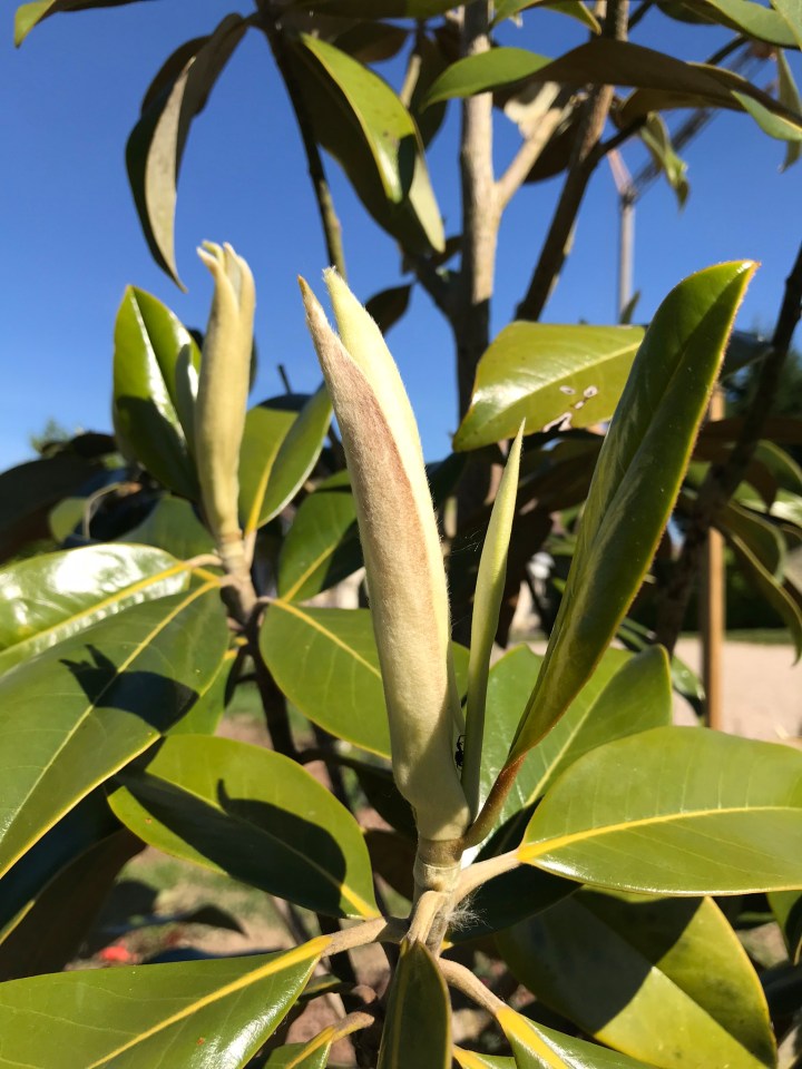 64F22002-6851-4434-8E26-CA023E24607A