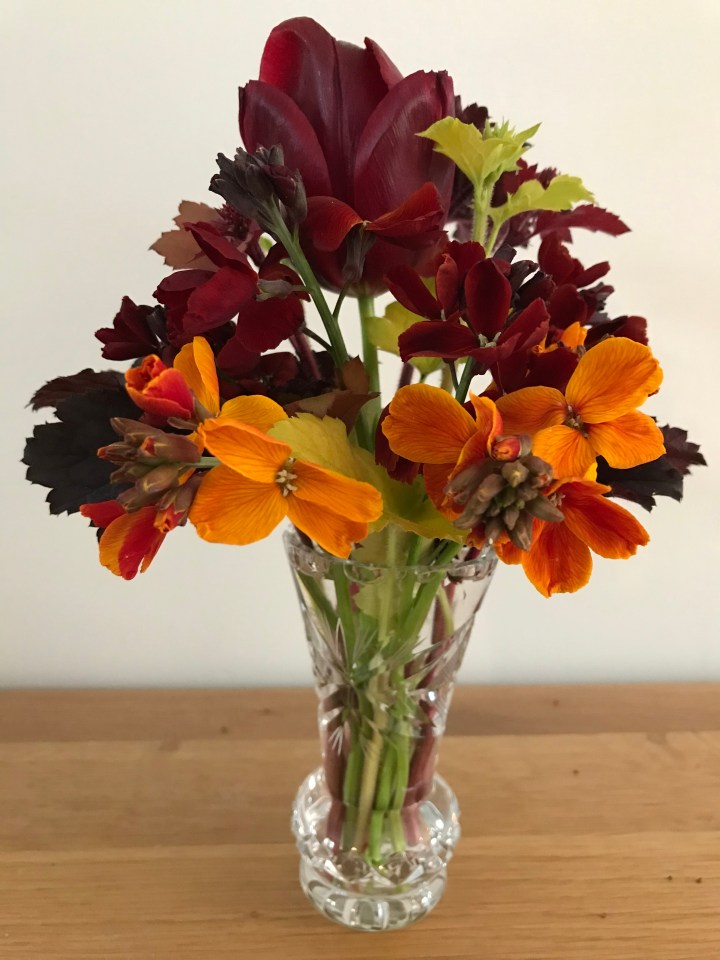 6E4A3096-2B11-4E29-A895-0B95A093DD74