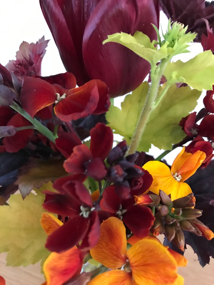 9998073D-C473-4068-8F15-A224BC50CC86