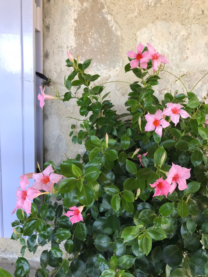 16581175-487E-4690-8B3C-C64B02EA4219