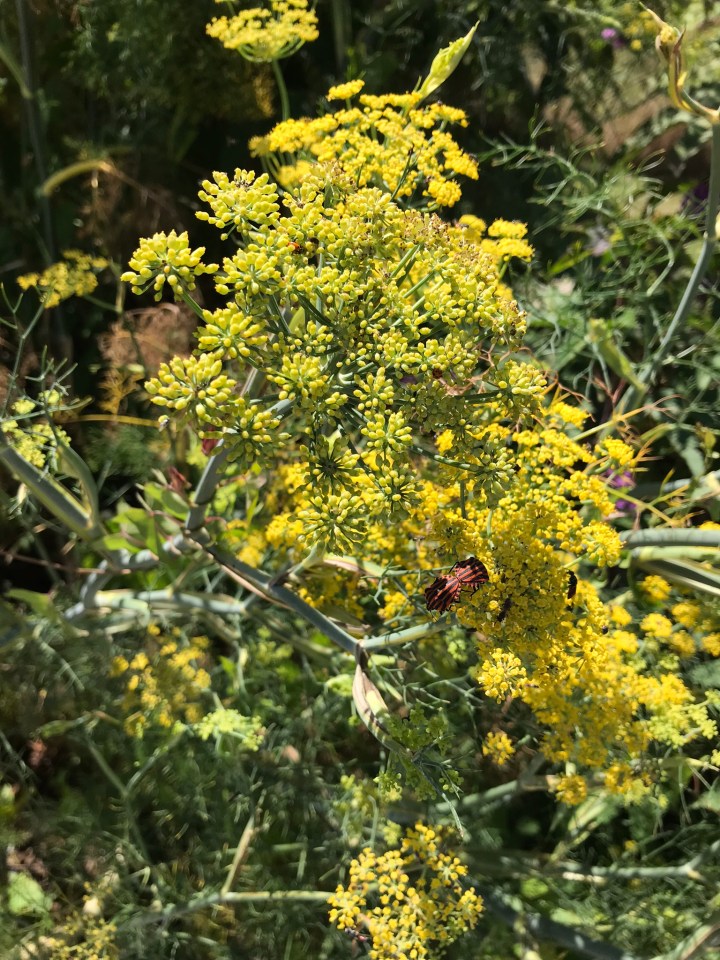 3BD53236-486B-42AE-B990-0F500F4890D9