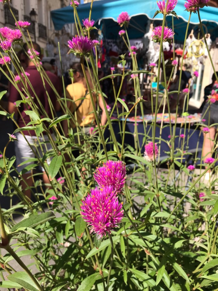 79E5B365-450D-408B-89F7-A9CEB241CE07