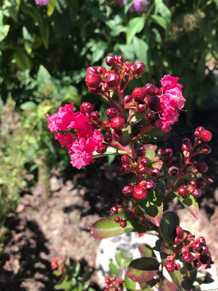 83D6FFEC-F234-4AAD-9B73-AB1D15C269D1