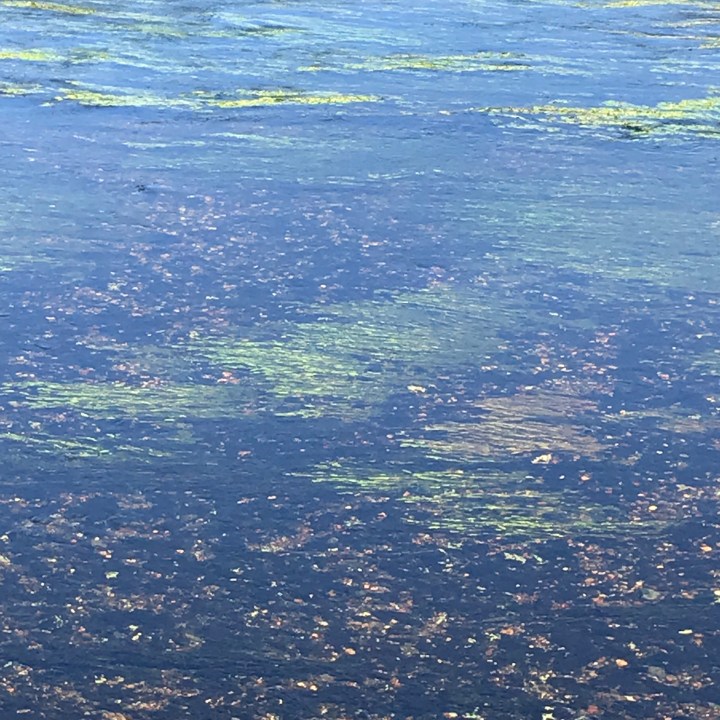 E2A4FEC6-F021-4B8E-A5E3-81001A9217F0