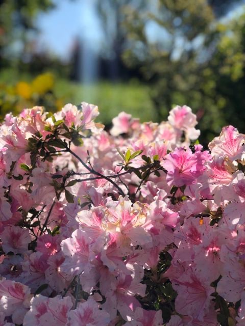 0F5B8F96-B285-4413-A738-88E7CB449518