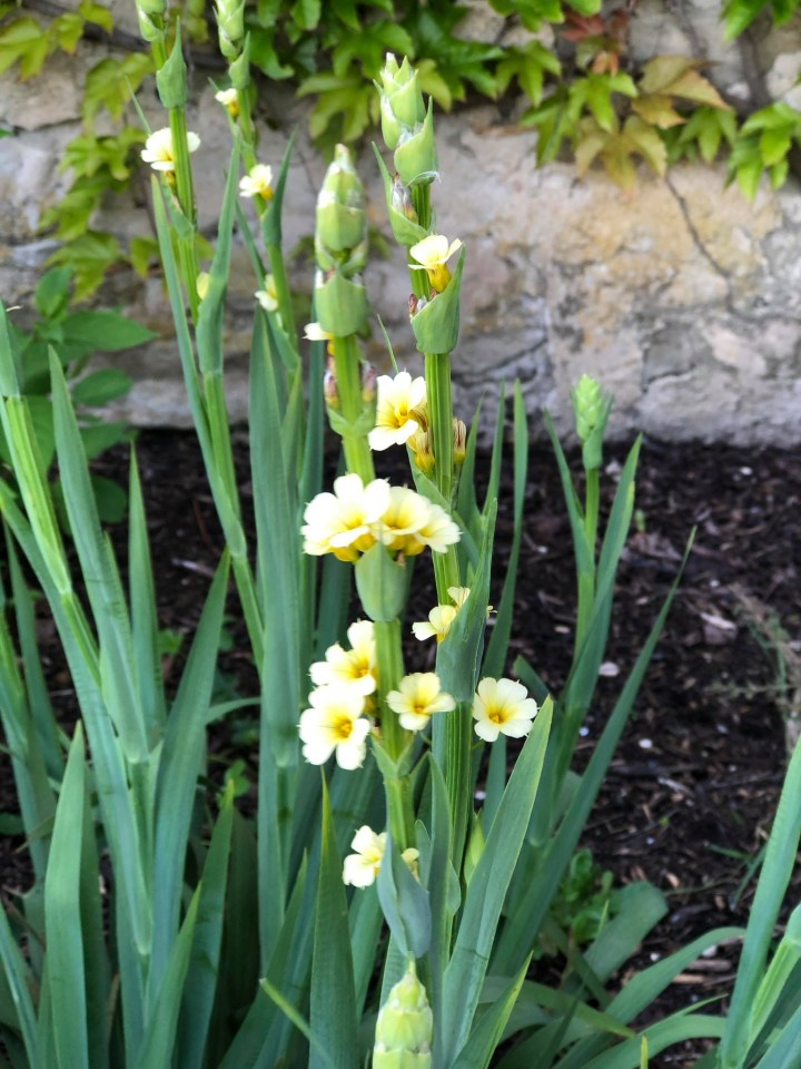 67D82D23-87C6-4263-B182-EAE91130C52F