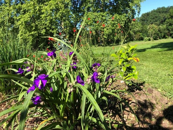 AF66F8B2-9043-4881-ACBA-1BF0964EFEE5